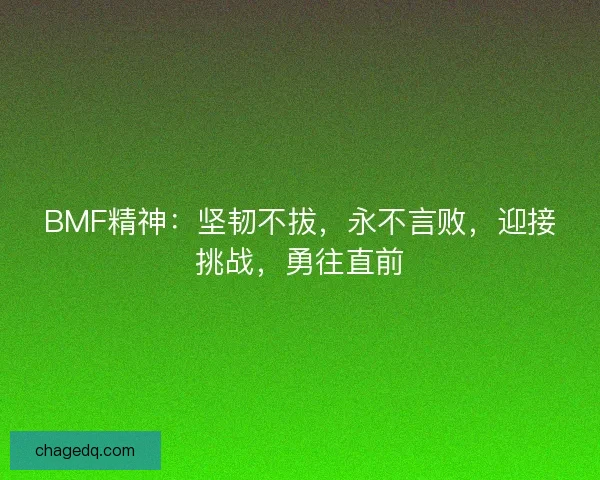 BMF精神：坚韧不拔，永不言败，迎接挑战，勇往直前